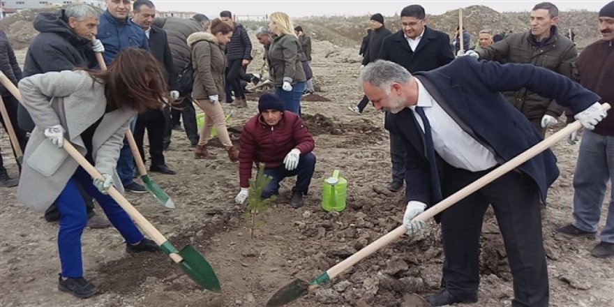 Kars Belediyesi fidanları toprakla buluşturdu