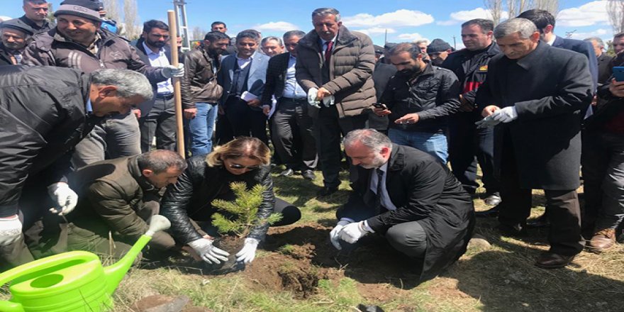 Kars Belediyesi mezarlıkları ağaçlandırıyor