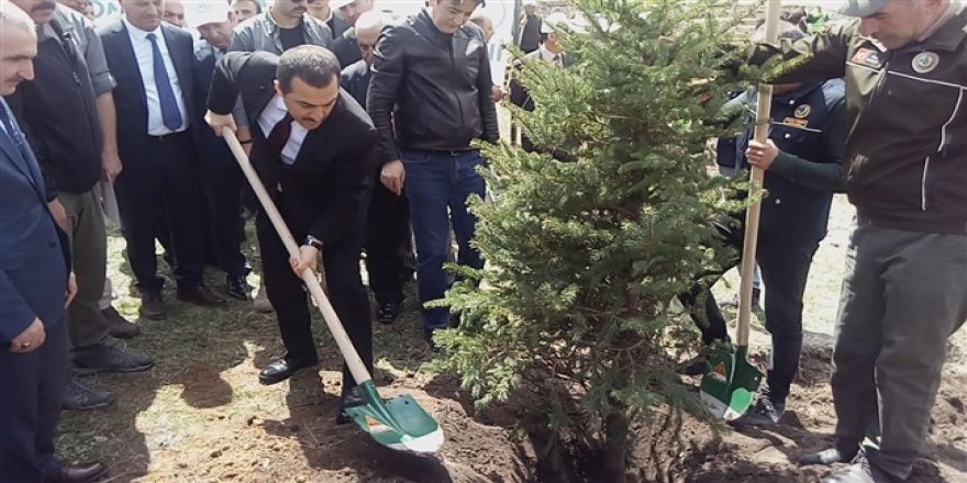 Kars Valisi Türker Öksüz fidan dikti