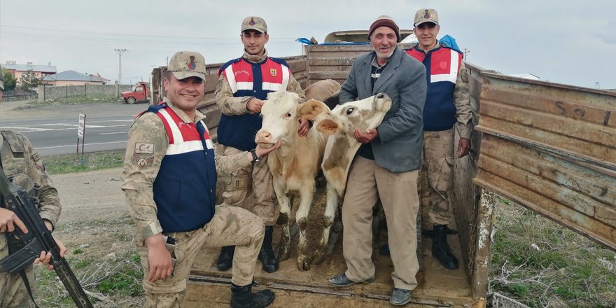 Kars’ta hayvan hırsızları yakalandı