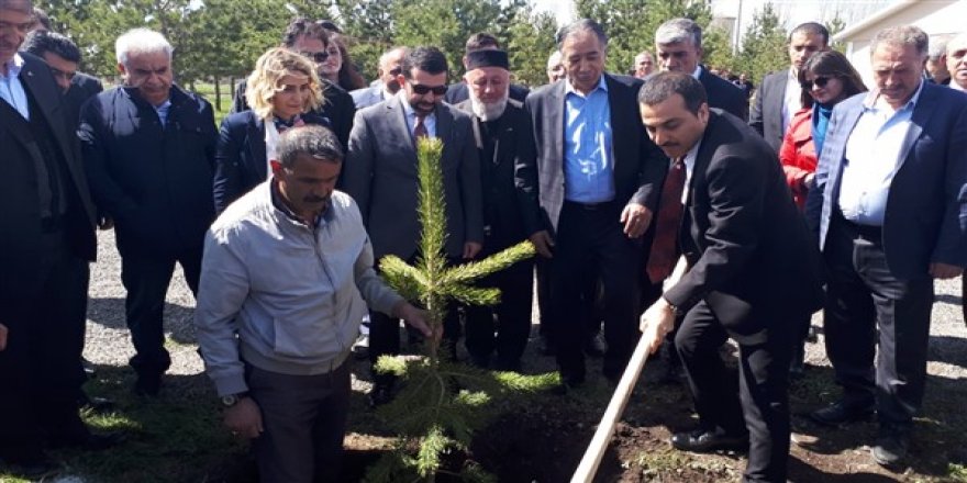 Kars Organize Sanayi Bölgesi'nde fidan dikme seferberliği