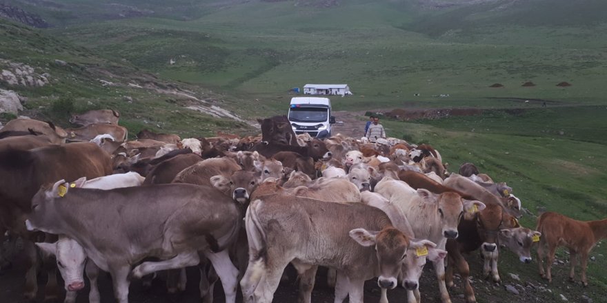 Kars çiftçisi kıtlık korkusu yaşıyor