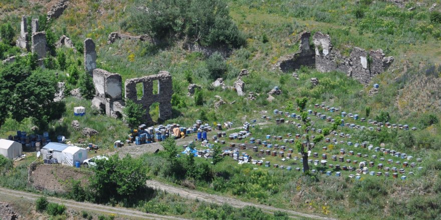 Arıcılar Kars’a gelmeye başladı 