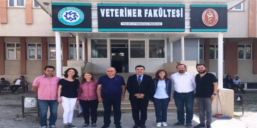 Kafkas Üniversitesi Ardahan’daki Sokak köpeklerini kısırlaştırılacak