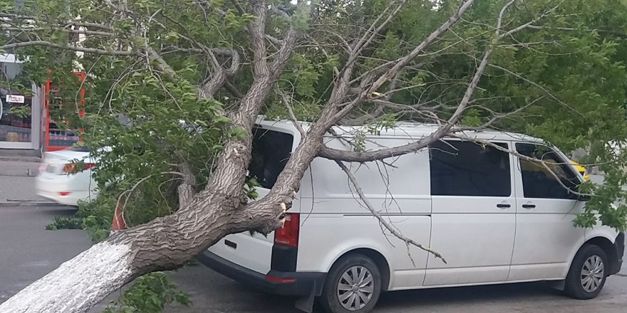  Kars’ta rüzgar aracın üzerine ağaç devirdi 