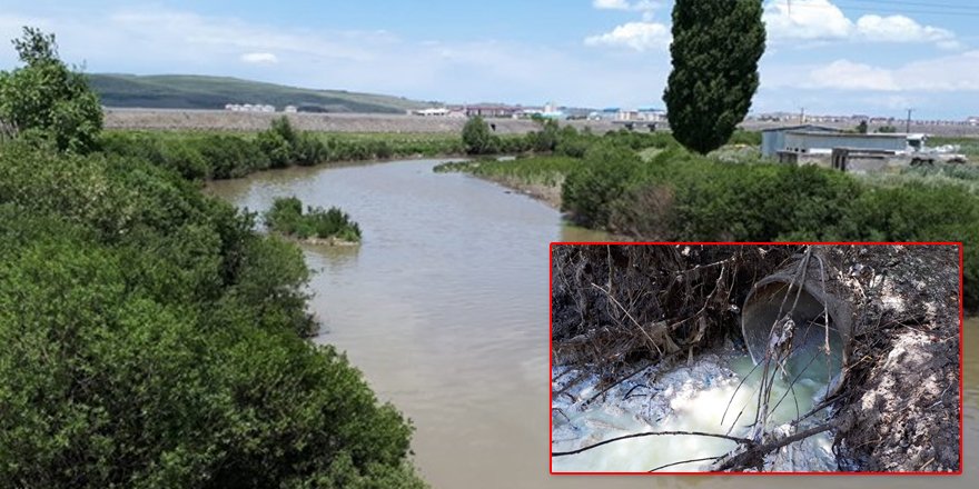 Şırat, Kars Baraj Gölü’nü de zehirlemeye başladı