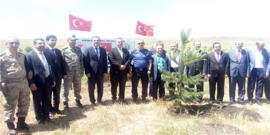 Kars’ta 15 Temmuz şehitleri için fidan dikildi