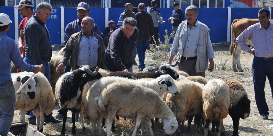 Kurban Pazarında yoğunluk yaşanıyor