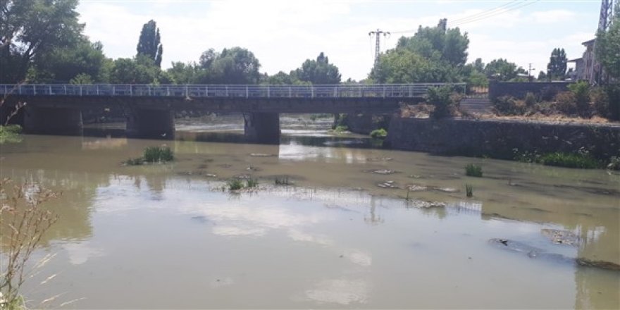 Kuraklık Kars Çayını da vurdu