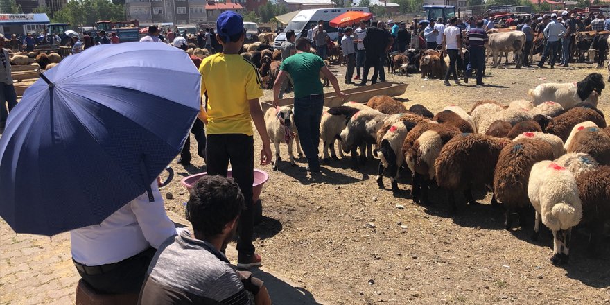 Hayvan pazarında bayram yoğunluğu