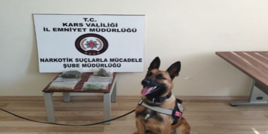 Kars Emniyetinin narkotik dedektör köpeği Odin’in ilk icraatı