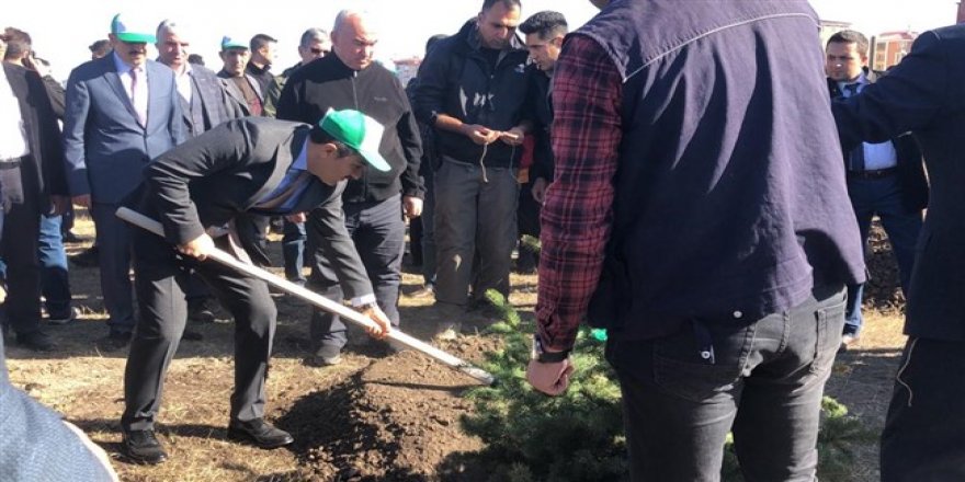 Kars’ta 29 bin fidan toprakla buluştu