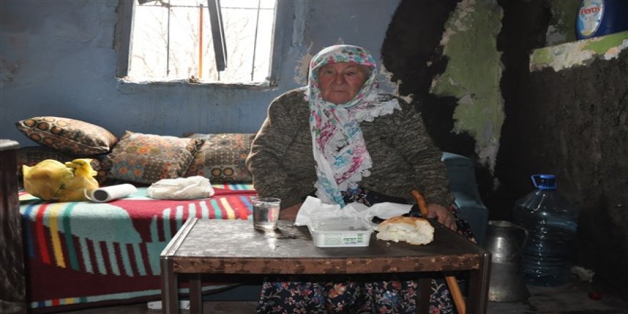 Kars’ta 70 yaşındaki nine gecekonduda yaşam mücadelesi veriyor