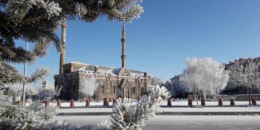 Kars eksi 12’yi gördü, ağaçlarda kırağı oluştu