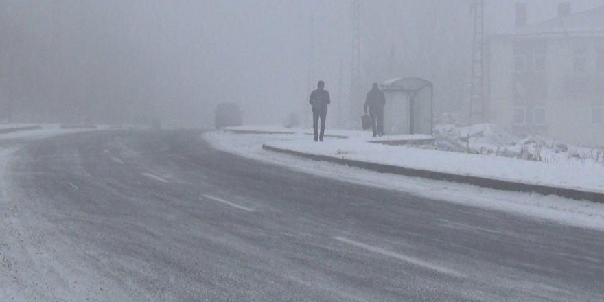 Kars’ta sisten bazı uçak seferleri iptal oldu