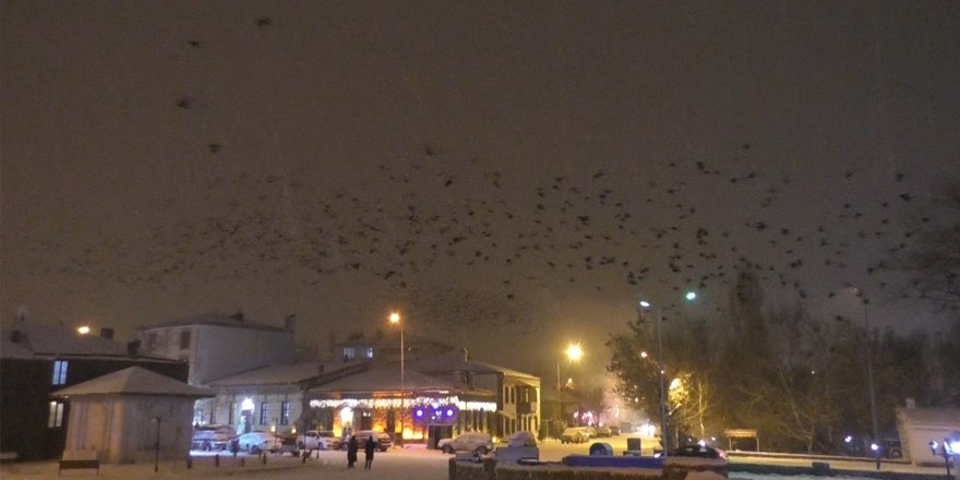 Kars’ta soğuk hava yerini kar yağışına bıraktı