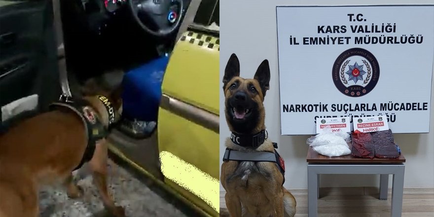 15 bin kişiyi zehirleyecek uyuşturucuları narkotik köpeği 'Odin' buldu