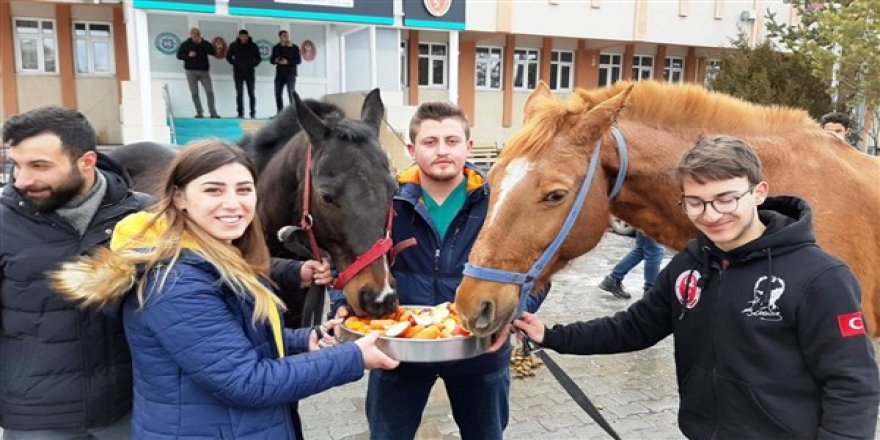 Bugün, 1 Mart Atları Koruma Günü