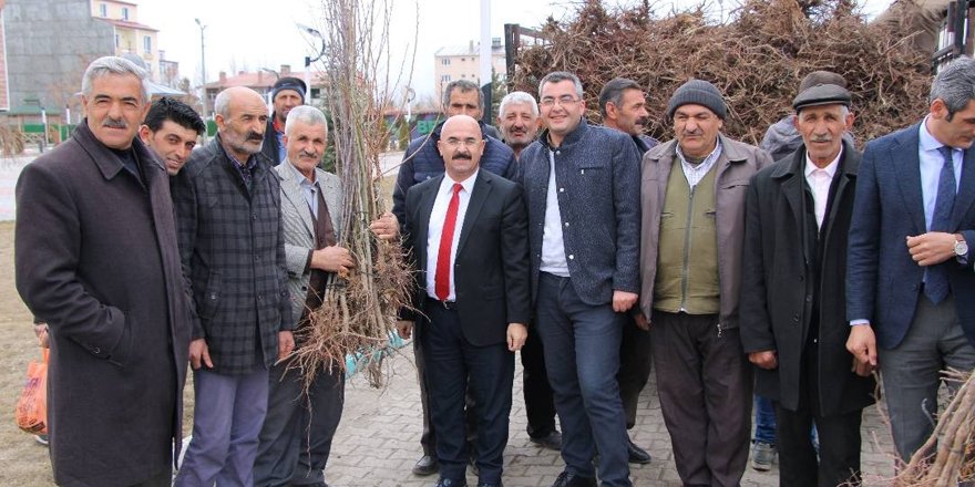 Selim Belediyesi’nden her eve bir meyve ağacı