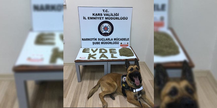 Kars polisinin ‘Bonzai’ rekoru