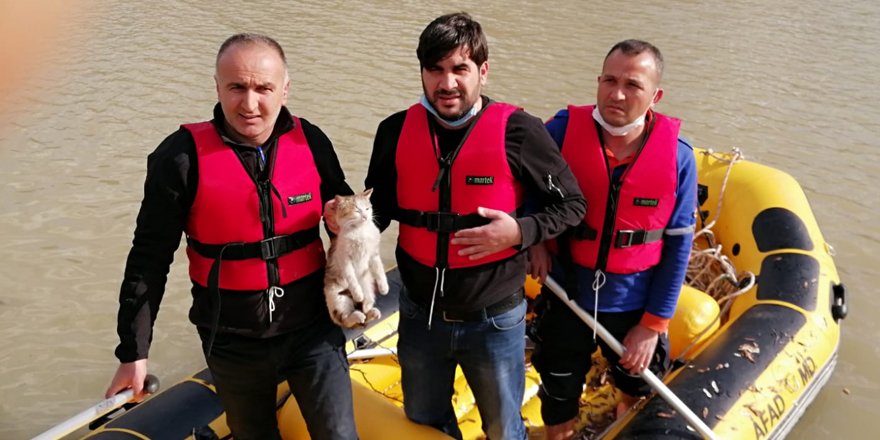 Kars’ta çatıda mahsur kalan kedi kurtarıldı