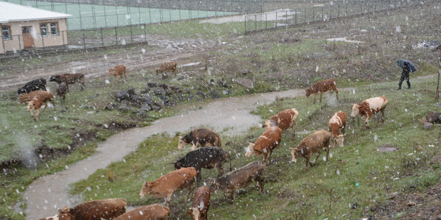 Kars’ta Mayıs ayında kar sürprizi