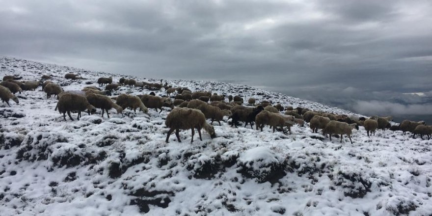 Doğu'da hava sıcaklığı geceleri eksiye düştü