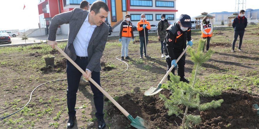 Vefa Sosyal Destek Grubu adına fidan dikildi