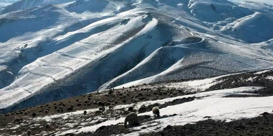  Doğu Anadolu’da kar yağışı