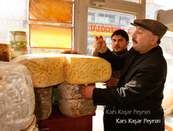 Kars Peynirciliğinin 150 Yıllık Tarihi