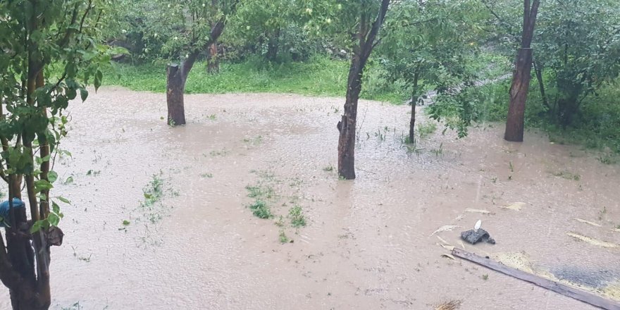 Sağanak yağış sele neden oldu