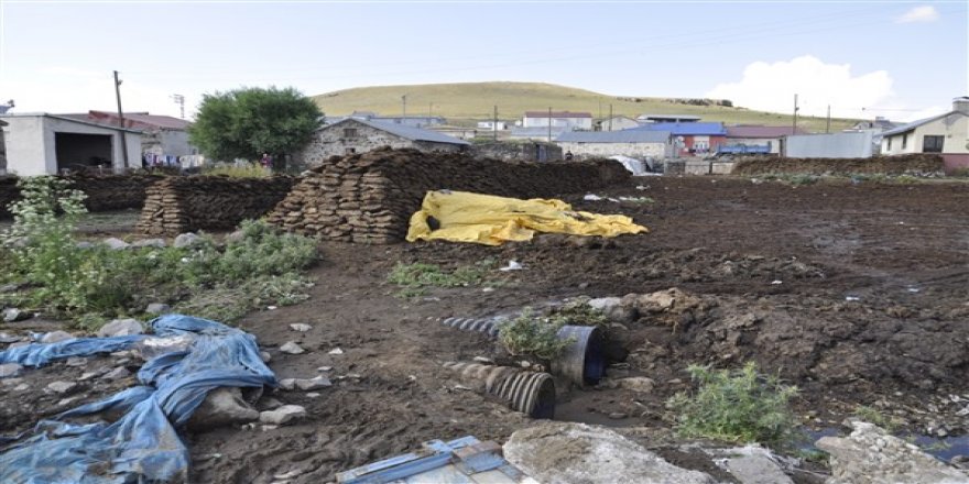 Artan hayvan gübresi insan sağlığını tehdit ediyor