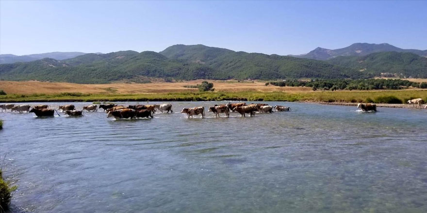 Doğu Anadolu’da hava sıcaklığı mevsim normallerinin üzerine çıktı