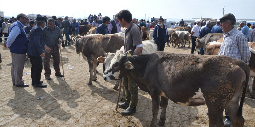 Kars’ta Kurban Pazarı’nda son gün yoğunluğu