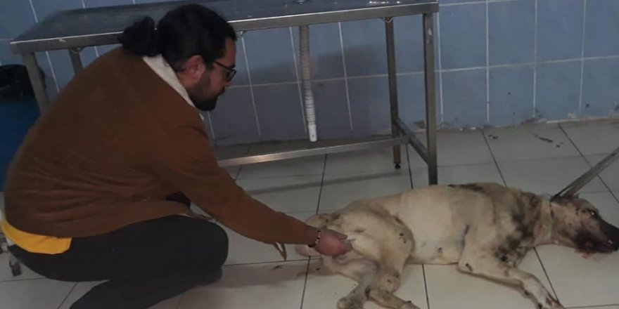 Başkan Altay ekipleri seferber etti
