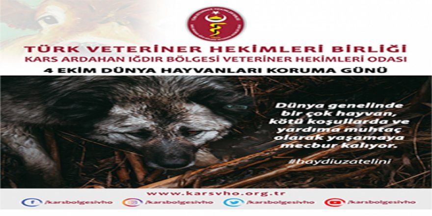 “Hayvan haklarının korunması için yapılan her çalışma büyük önem taşımaktadır”