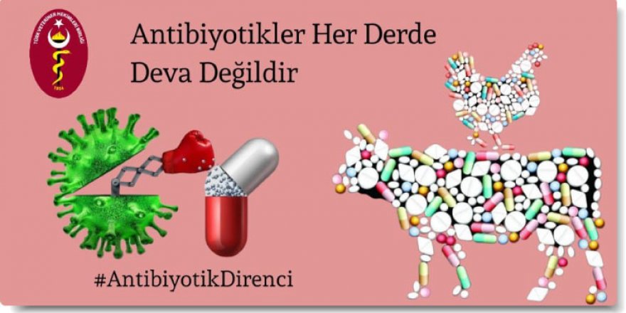 VHO : ‘Antibiyotikler her derde deva değildir’