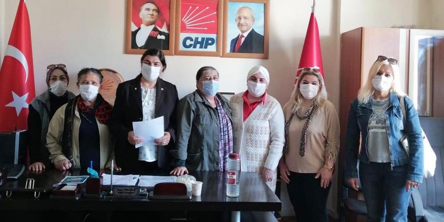 CHP Kars Kadın Kolları Başkanı Nazan Demirci : ’Kadına Yönelik Şiddet Politiktir’
