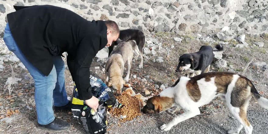 Kars Belediyesi sokak hayvanlarını aç bırakmıyor