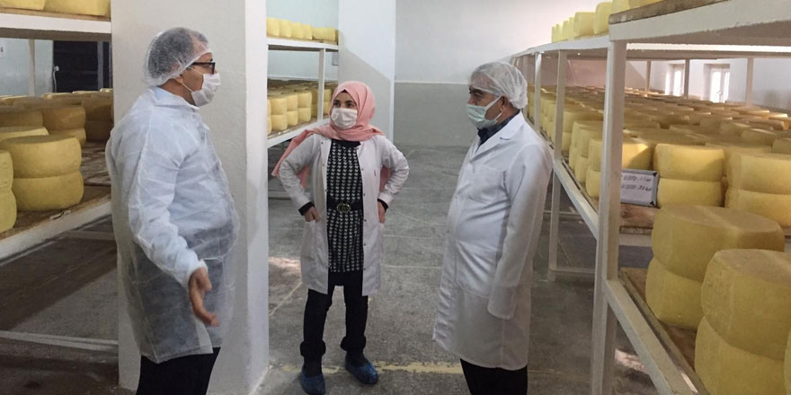 Altıntaş, Süt İşletmeleri’nde incelemelerde bulundu