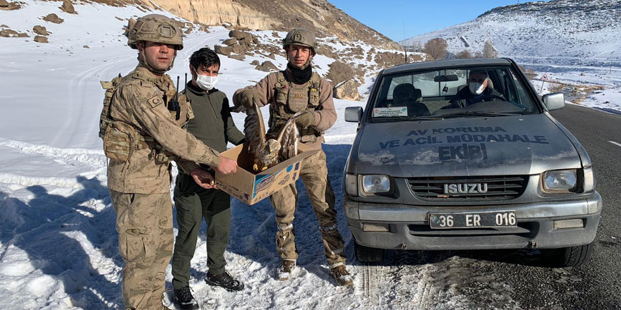 Jandarma komandolardan yaralı şahine şefkat eli