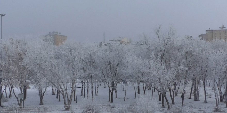 Kars’ta soğuktan sis ve kırağı oluştu