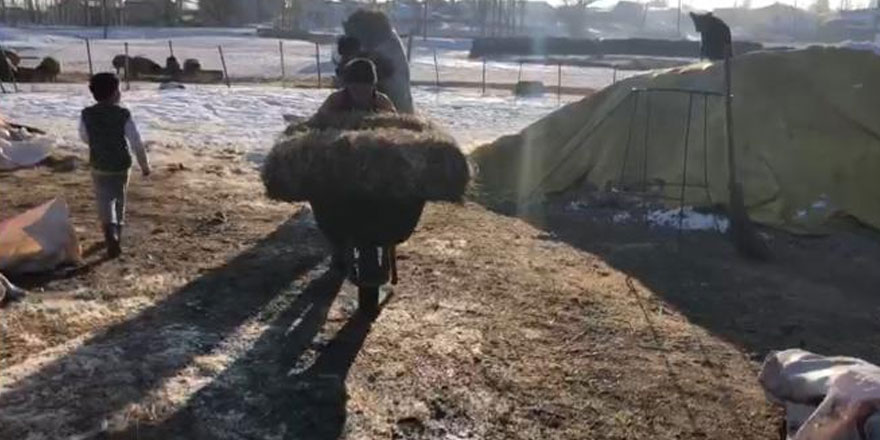 Kars’ta çiftçilerin zorlu kış mesaisi devam ediyor