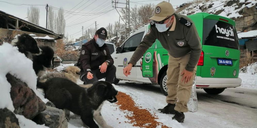 Kars’ta polis, sokak hayvanlarına yiyecek bıraktı