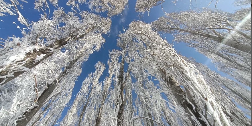 Meteorolojiden kuvvetli kar yağışı uyarısı