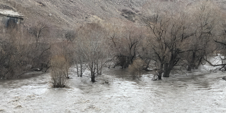 Kars Çayı taştı, ağaçlar sular altında kaldı