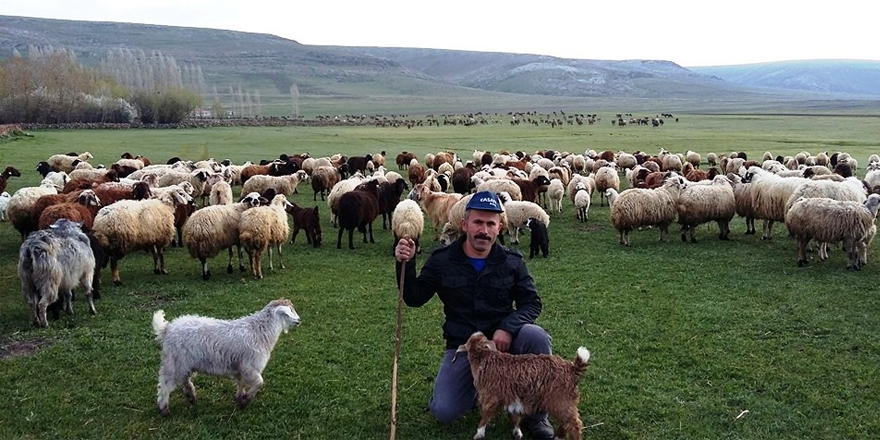 Hayvancılıkta Türkiye’nin zirvesine adım adım