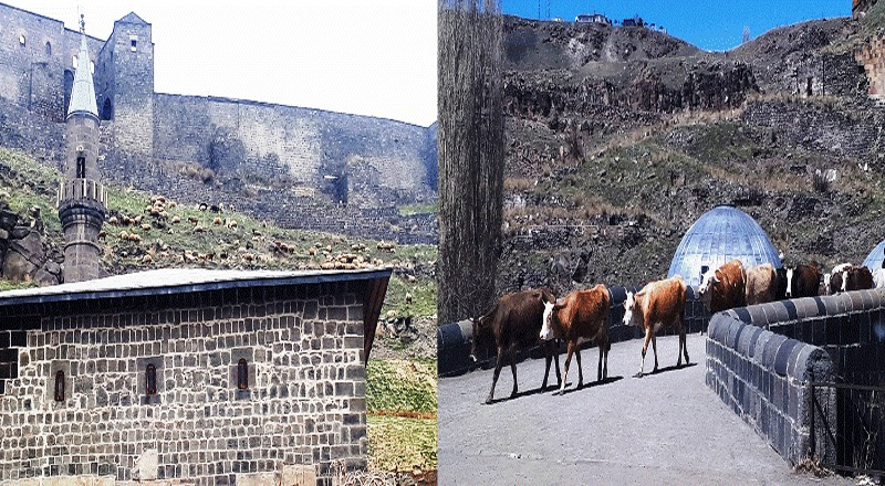 Kars’ta tarihi ve turistik bölgeler mera vasfını koruyor