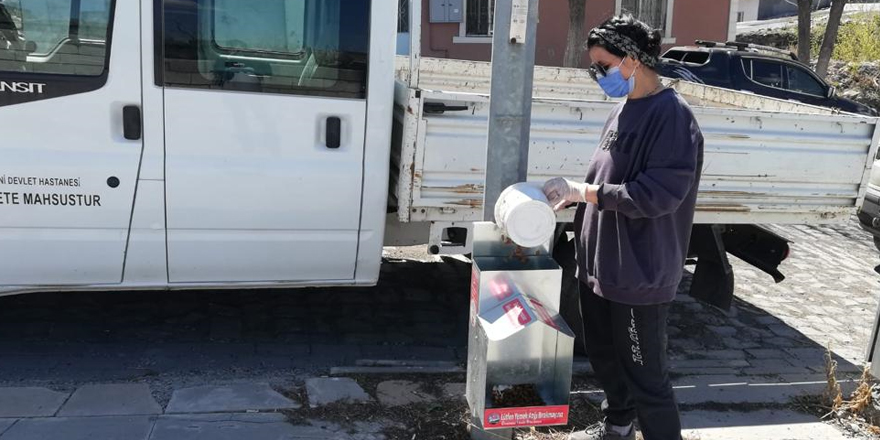 Kars Belediyesi sokak hayvanlarını yalnız bırakmıyor