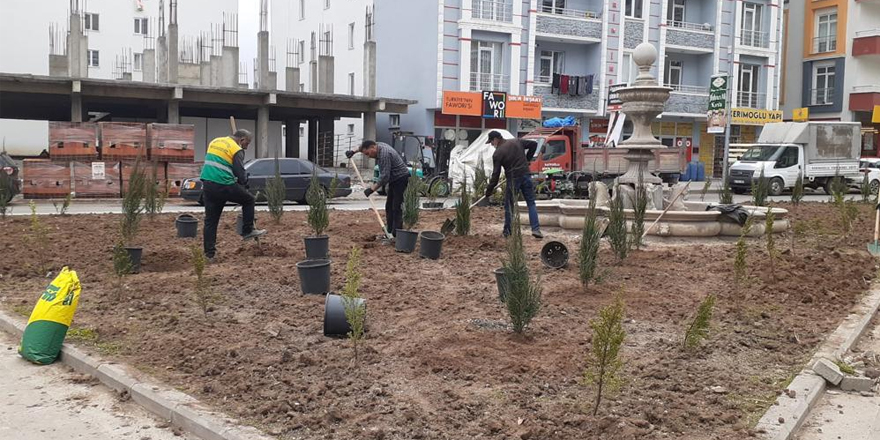 Kars Belediyesi refüjlerde ağaçlandırma çalışması başlattı